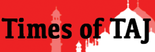 Times of Taj Logo