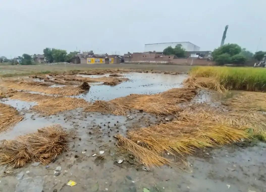 कन्नौज में तीन दिन की लगातार बारिश से किसान और व्यापारी परेशान