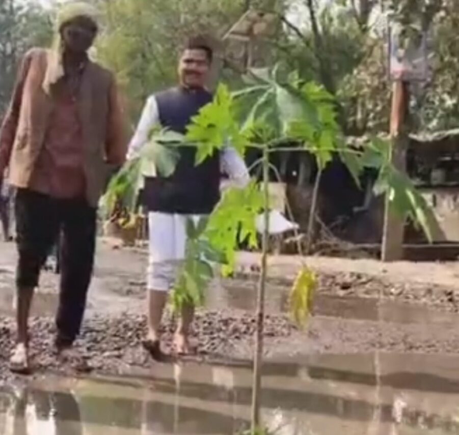 बांदा में ग्रामीणों का अनोखा प्रदर्शन:सड़क के गड्ढों में पेड़ लगाकर जताया आक्रोश