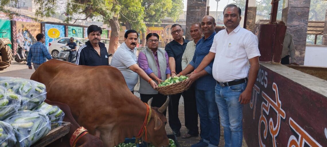 लायंस क्लब आकाश ने की गौ माता की सेवा; 56 भोग अर्पित कर किया पुण्य अर्जन