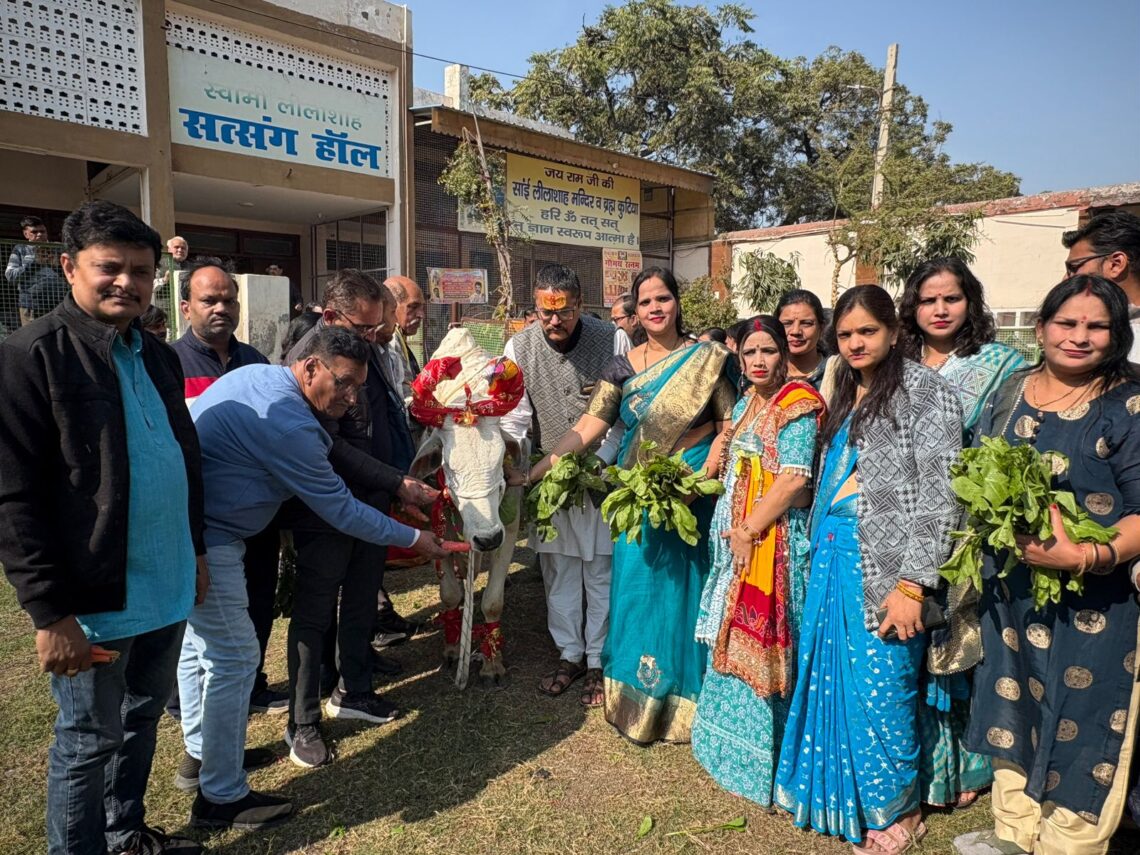 गौ सेवा में प्रकट हुई श्याम कृपा, छप्पन भोग से सजी गौ माता