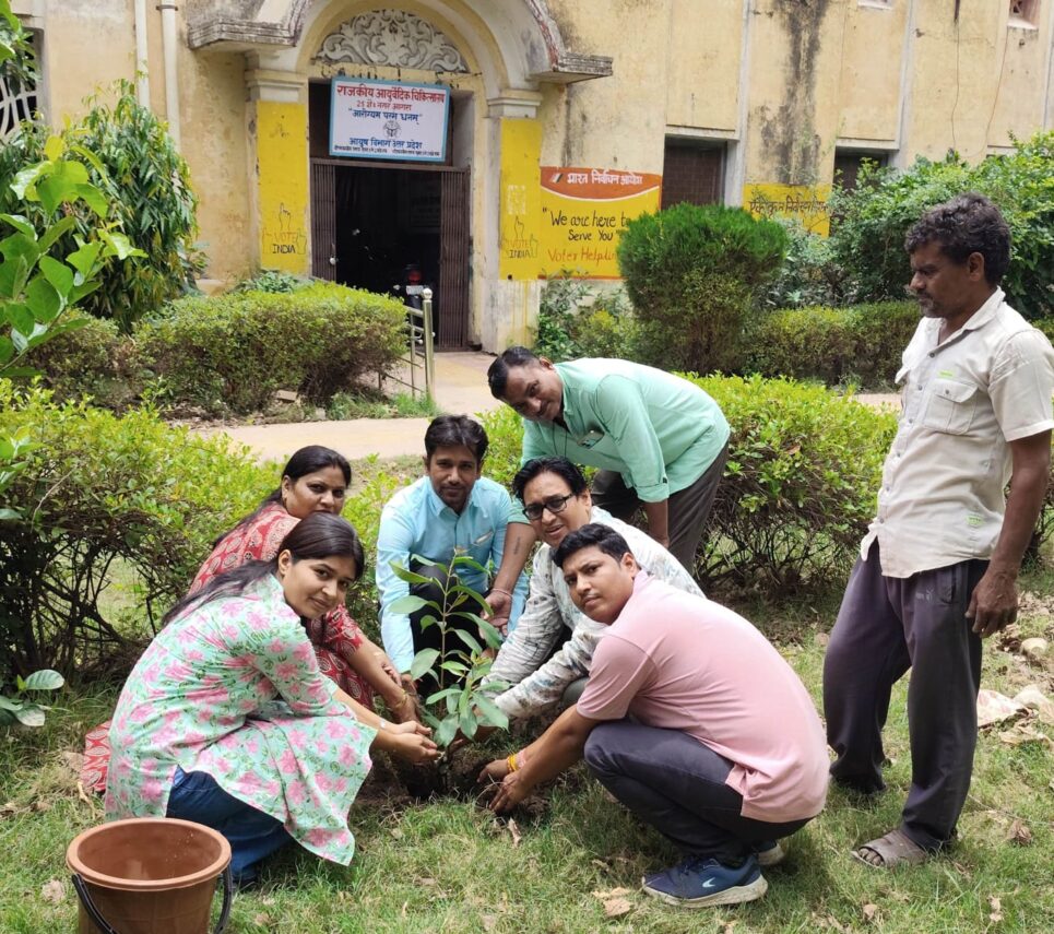 विश्व पर्यावरण दिवस पर राजकीय आयुर्वेदिक चिकित्सालय में लगाया गया जामुन का पौधा