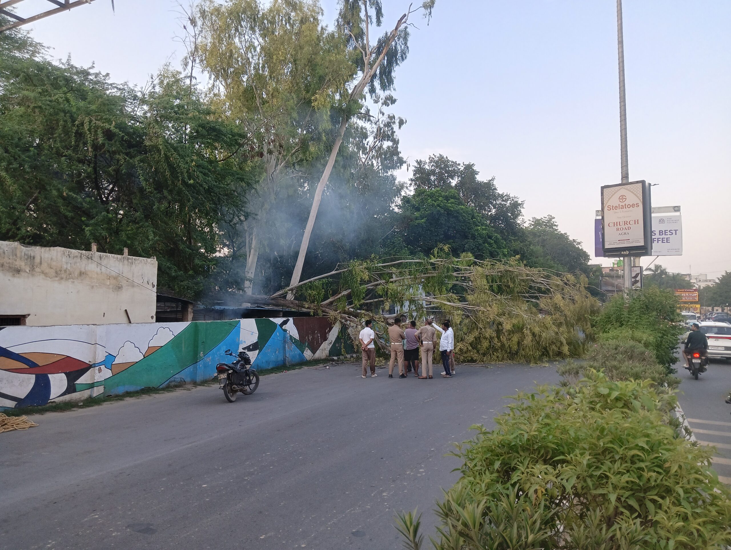 अमर होटल के निकट सड़क पर गिरा पेड़, राहगीरों को हुई परेशानी