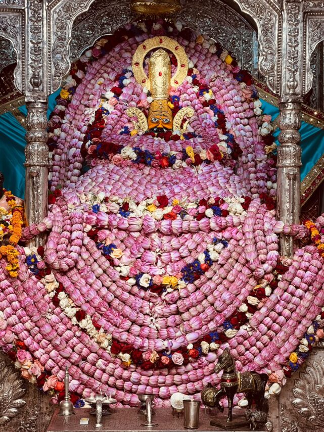 एकादशी पर कमल के पुष्पों से सजे श्याम बाबा, दिव्य श्रृंगार के दर्शन को उमड़ा श्रद्धालुओं का सैलाब