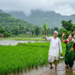 महाराष्ट्र में सामान्य से 92 प्रतिशत बारिश, जुलाई की अच्छी वर्षा से स्थिति संतोषजनक