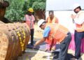 Agra Metro: Construction work for Second Depot for Corridor 2 begins
