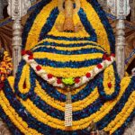 परिवर्तिनी एकादशी पर नील पुष्पों से सजे श्याम बाबा, उमड़ा आस्था का ज्वार