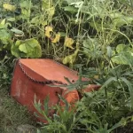 बुर्जा वाले हनुमान मंदिर में पांचवीं बार चोरी, सीसीटीवी पर कपड़ा डाल दानपात्र ले गए चोर