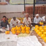 राष्ट्र शौर्य समृद्धि गायत्री महायज्ञ: 2551 भव्य कलशों के साथ सजने लगी आस्था की डगर